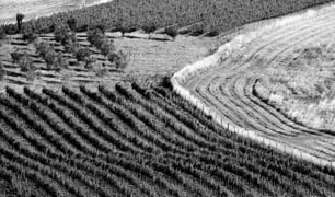 Montecucco