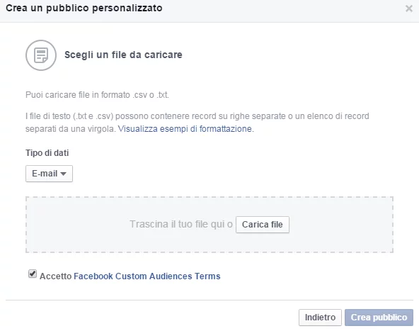 Audience Facebook da Newsletter